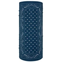 Zan Headgear Motley Tube